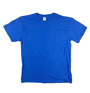 RGRiley | Gildan Adult Royal Crew Neck T-Shirts | Mill Graded Irregular